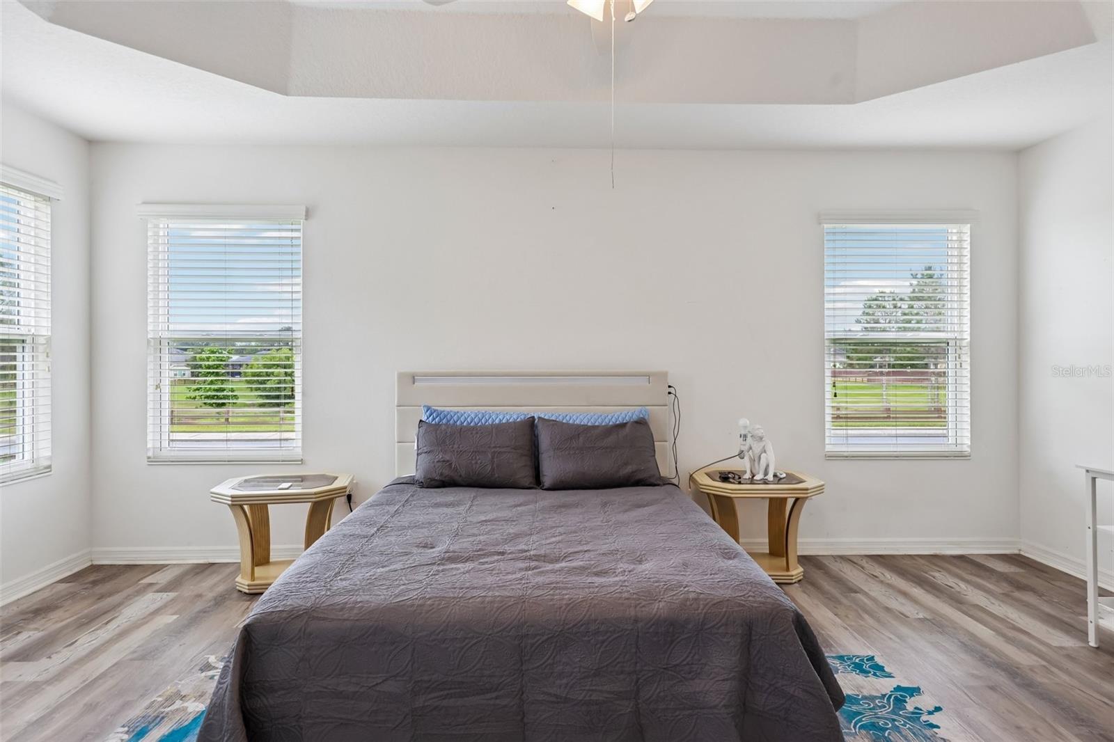 3315 DZURO DR, OXFORD, FL, 34484