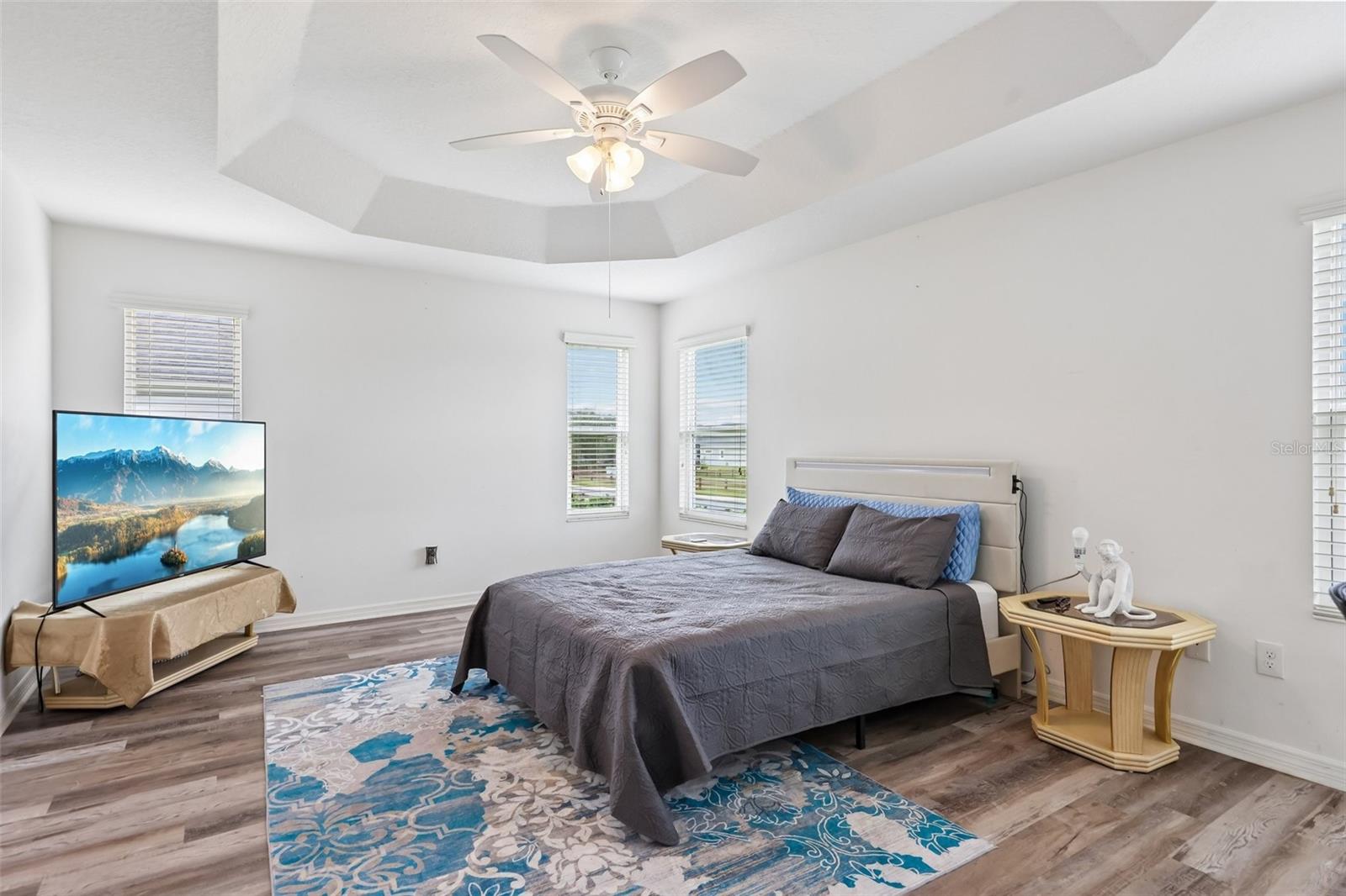 3315 DZURO DR, OXFORD, FL, 34484