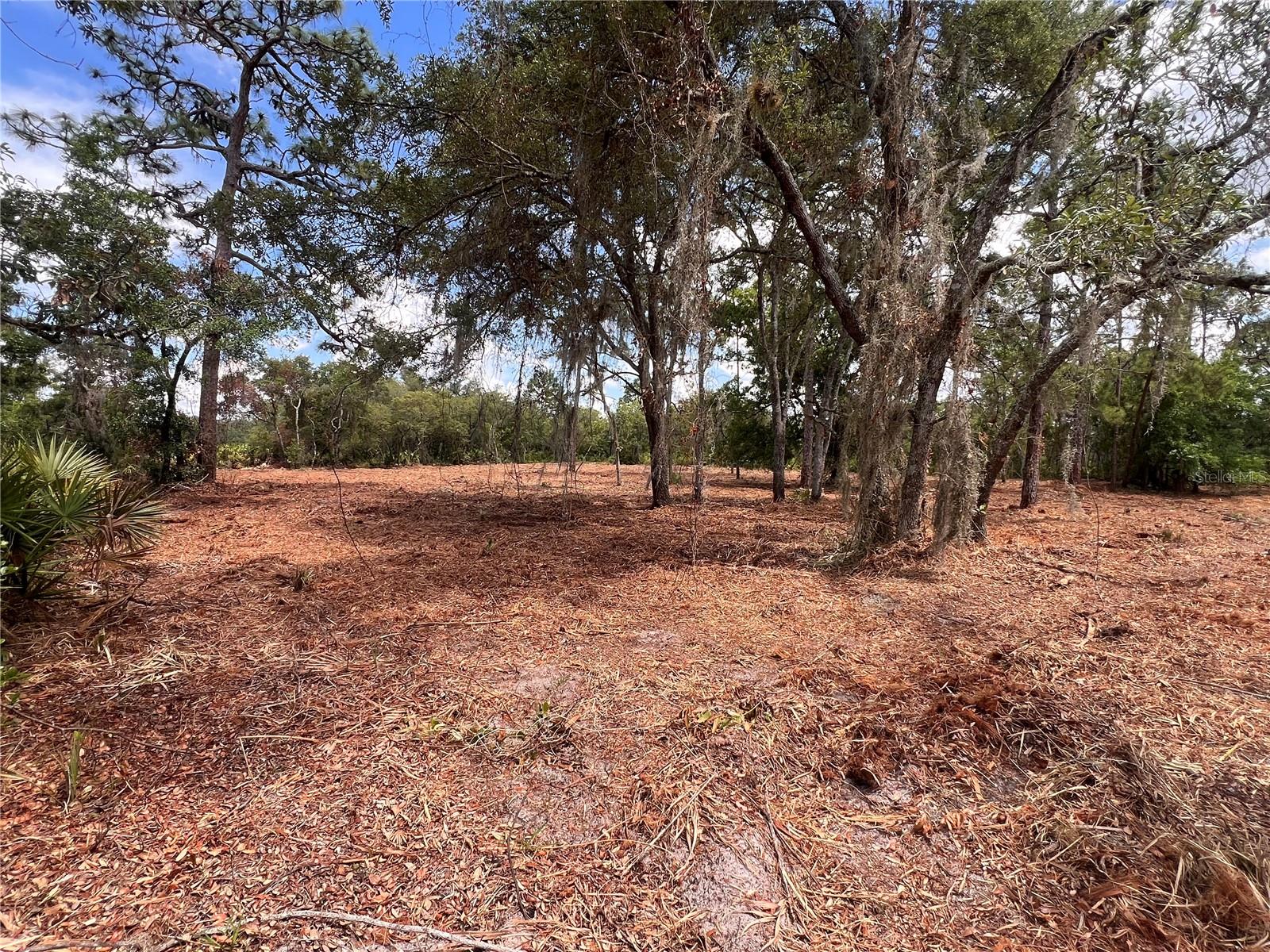 DEER RD, FROSTPROOF, FL, 33843