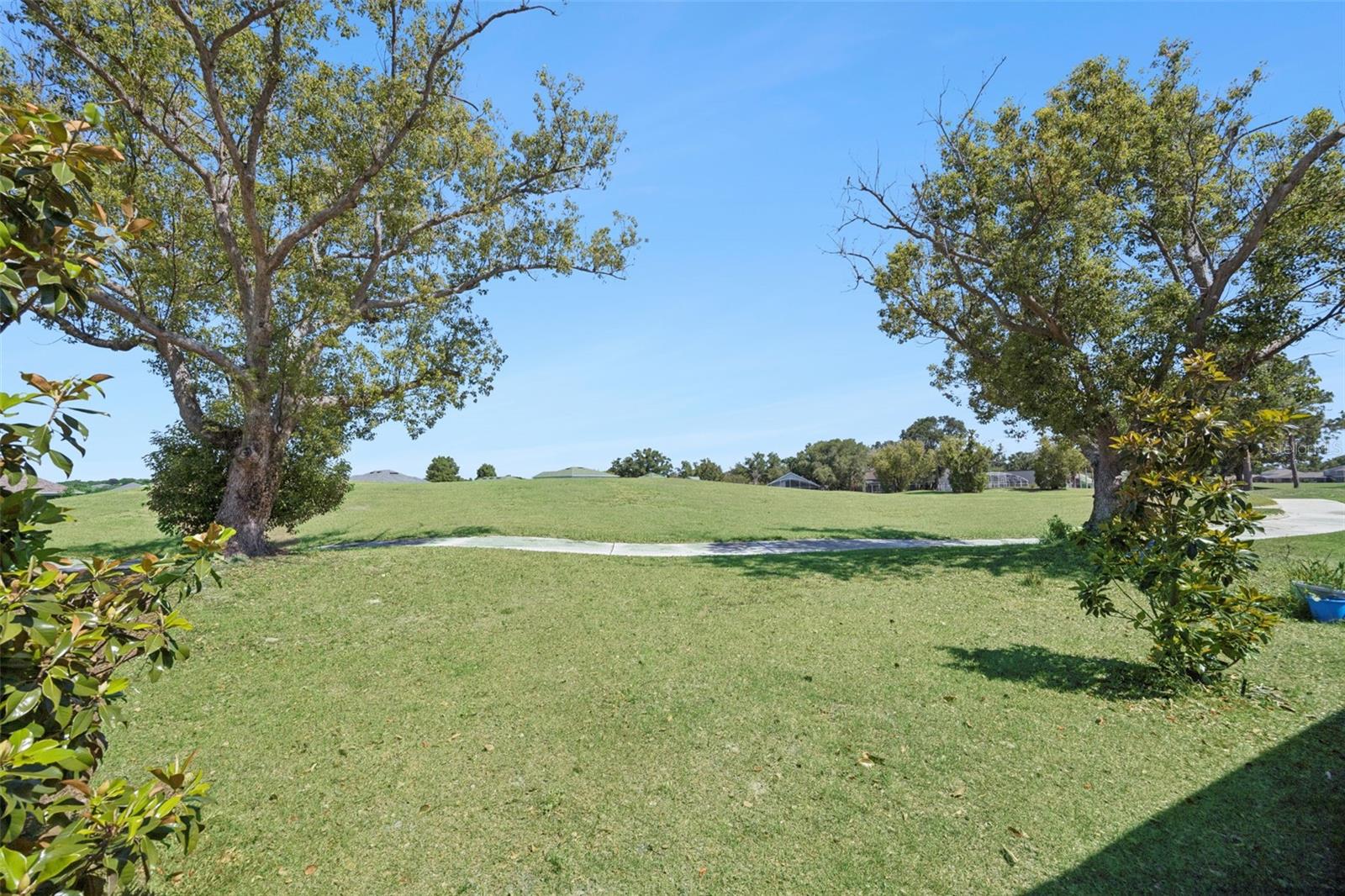 10053 SPRING LAKE DR, CLERMONT, FL, 34711