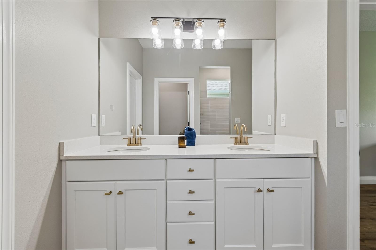 5619 SILVER SUN DR, APOLLO BEACH, FL, 33572