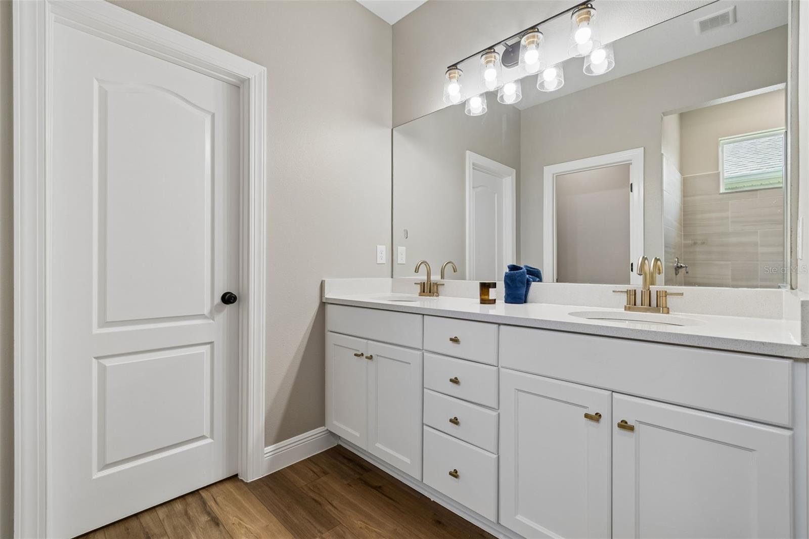 5619 SILVER SUN DR, APOLLO BEACH, FL, 33572
