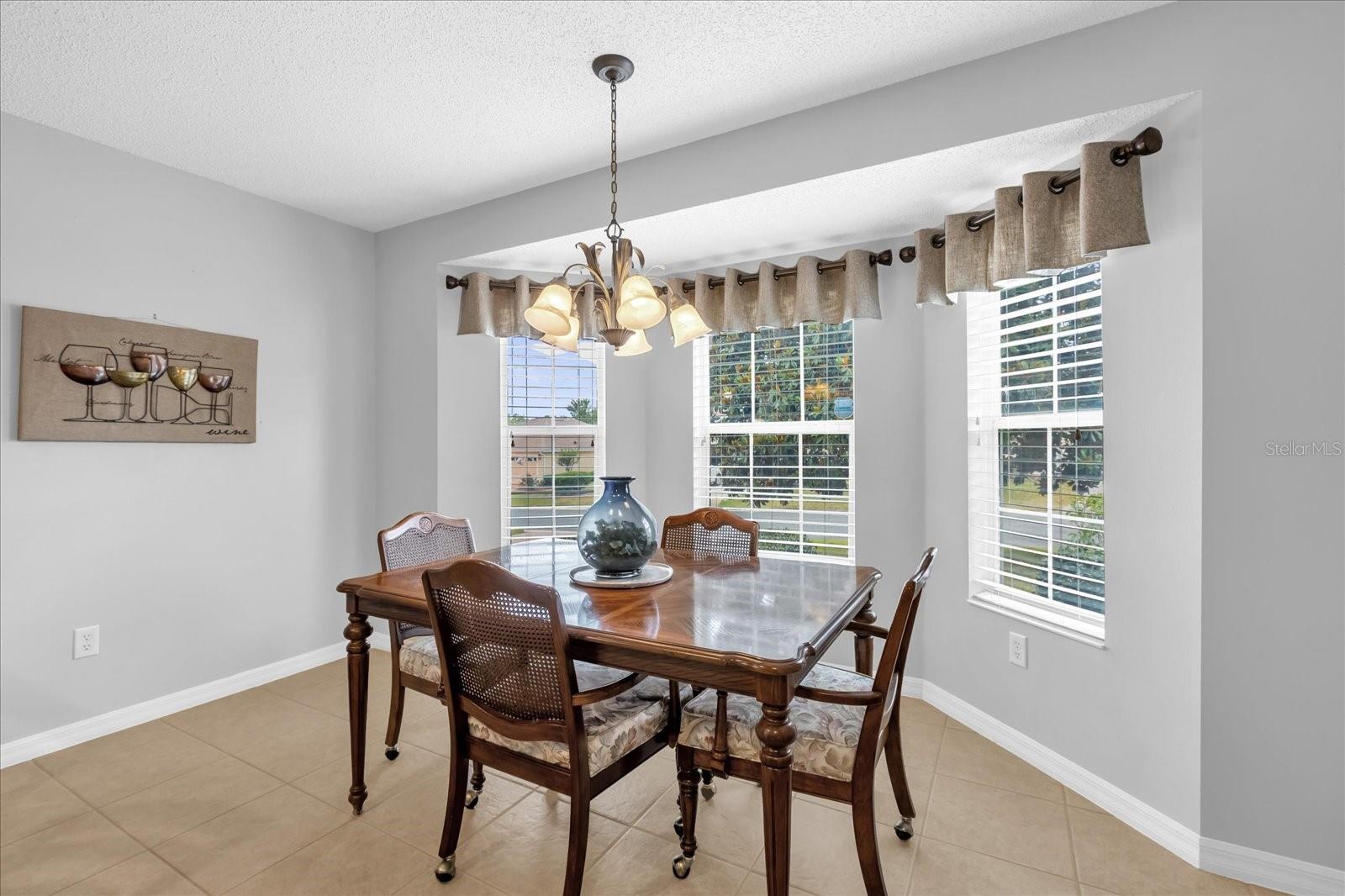 401 BISHOPVILLE LOOP, THE VILLAGES, FL, 32162