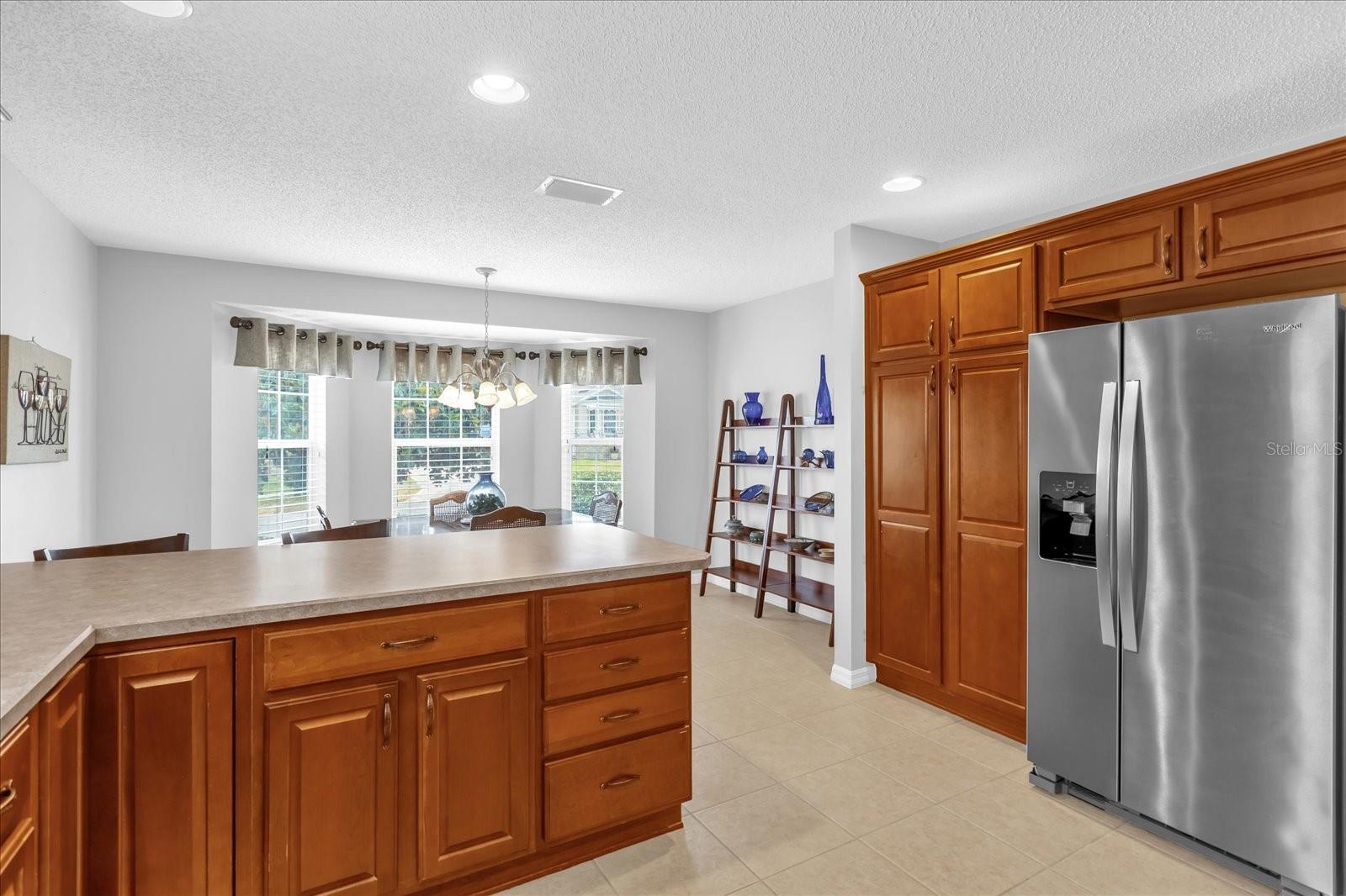 401 BISHOPVILLE LOOP, THE VILLAGES, FL, 32162