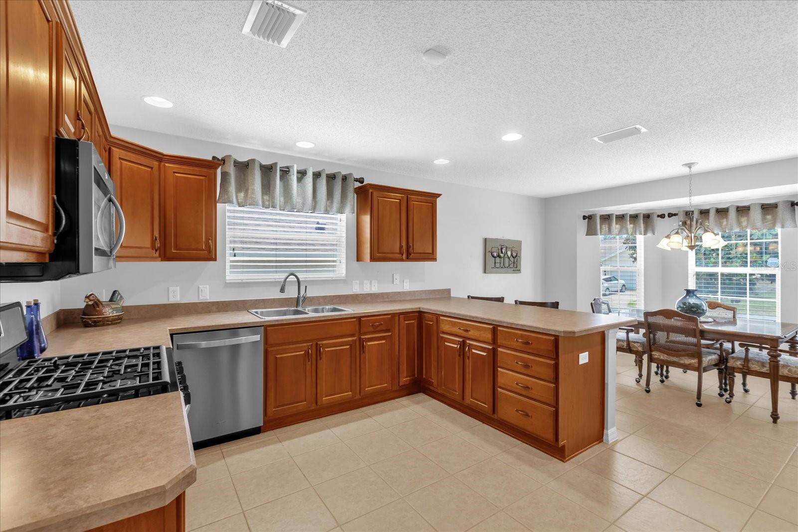 401 BISHOPVILLE LOOP, THE VILLAGES, FL, 32162