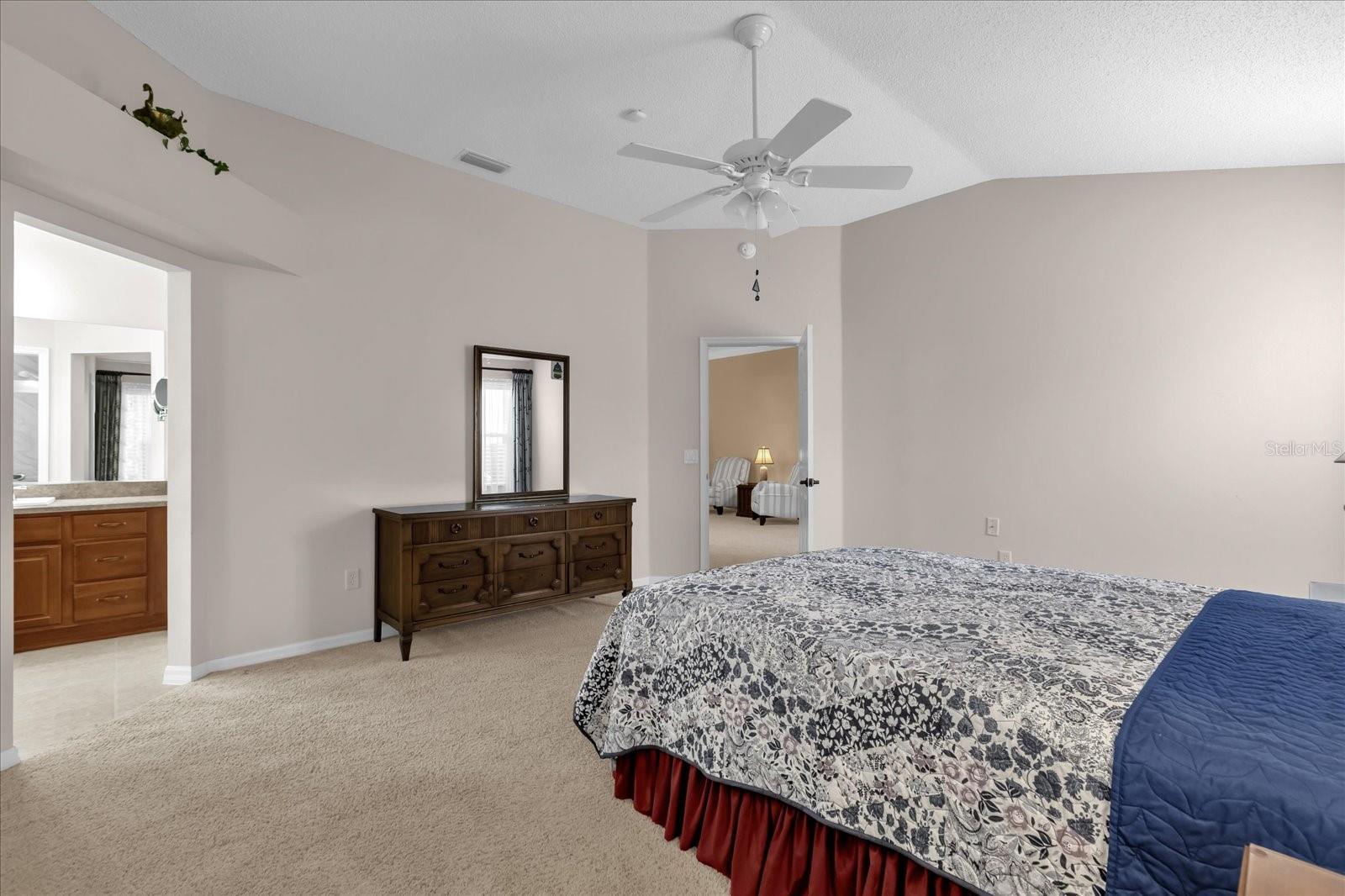 401 BISHOPVILLE LOOP, THE VILLAGES, FL, 32162