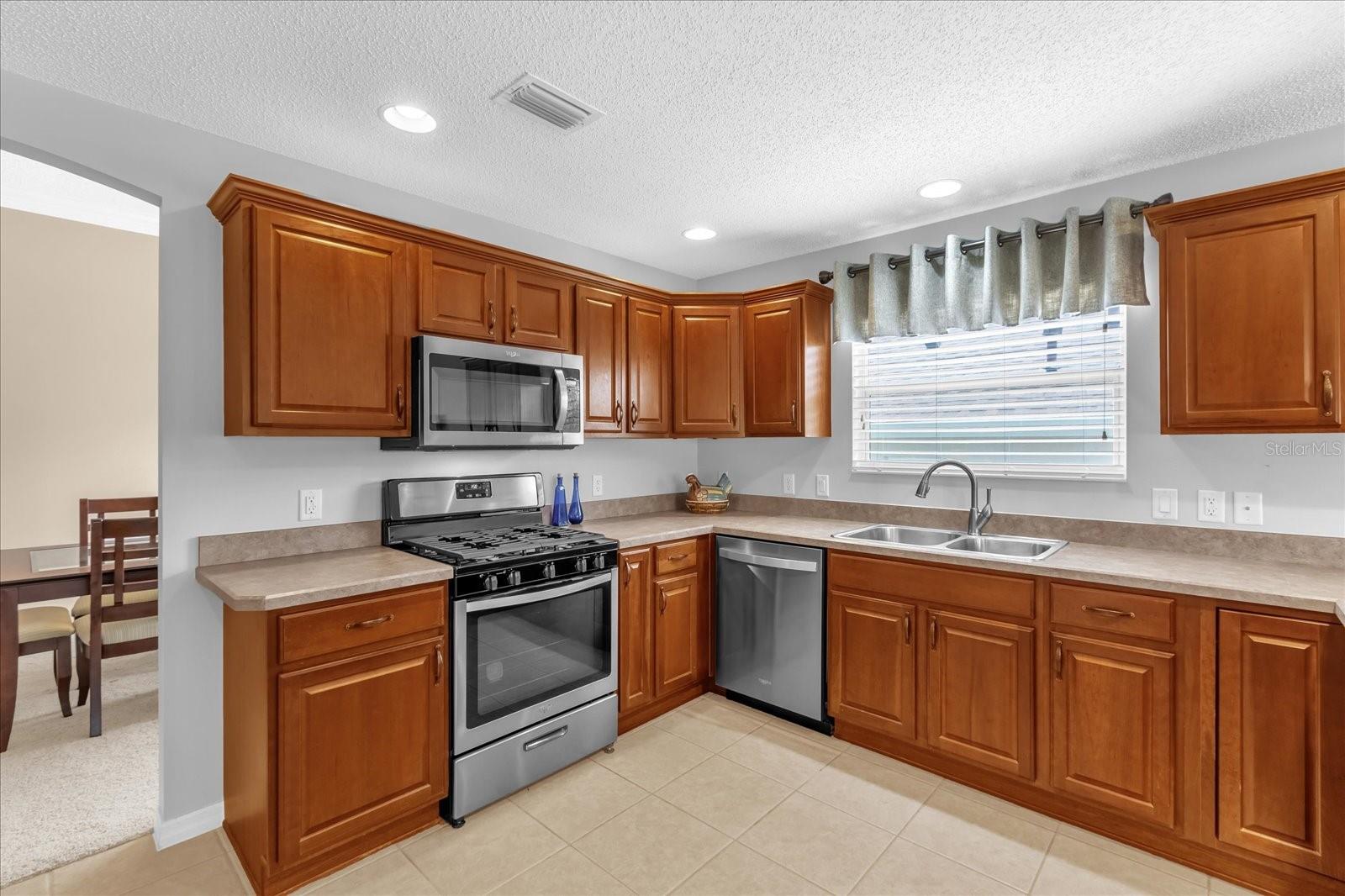 401 BISHOPVILLE LOOP, THE VILLAGES, FL, 32162