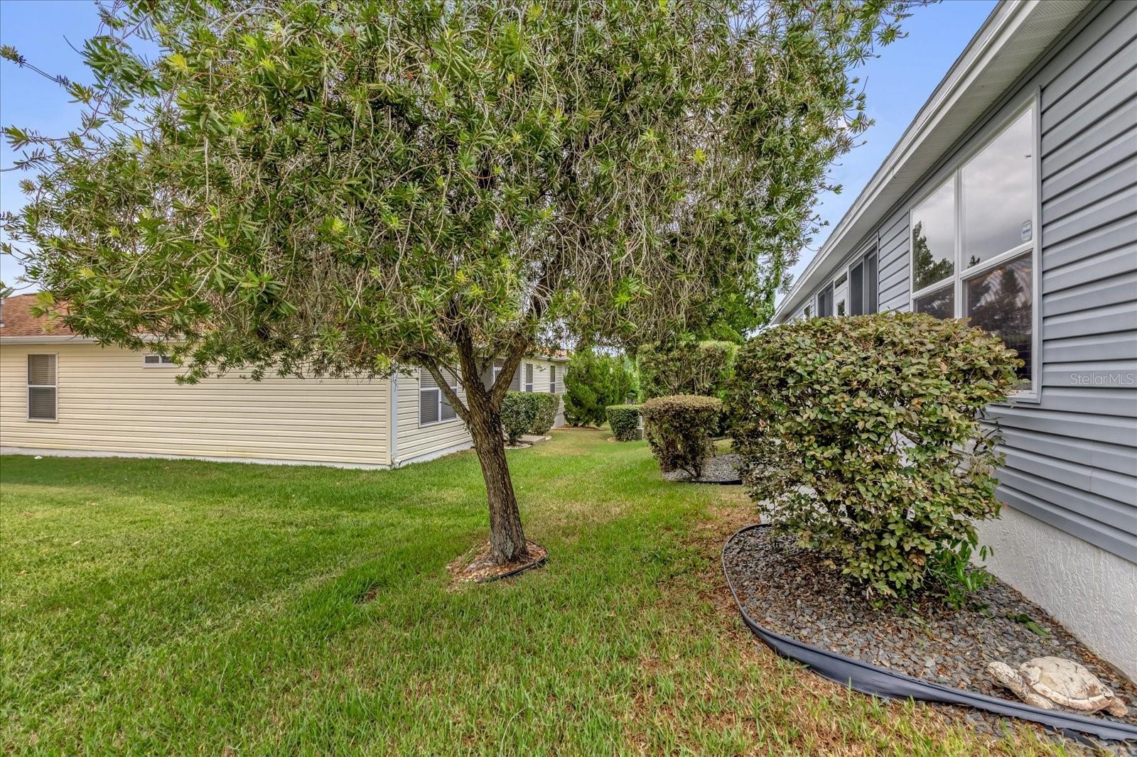 401 BISHOPVILLE LOOP, THE VILLAGES, FL, 32162