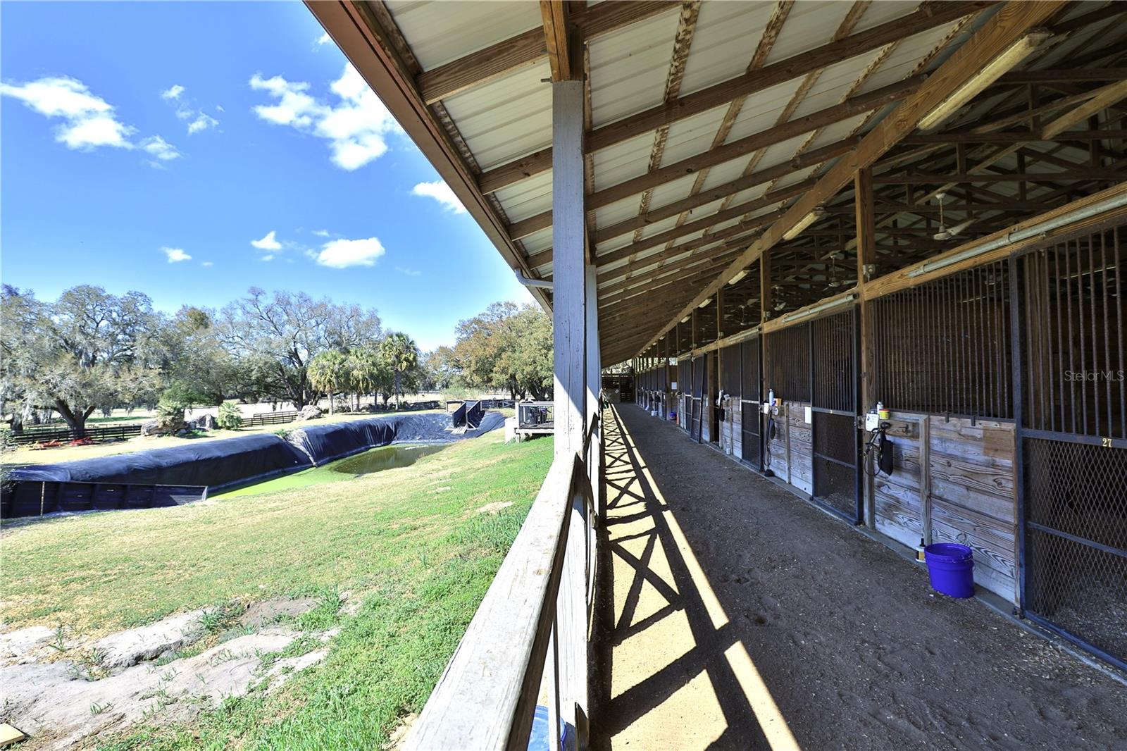 6692 NW 150TH AVE, MORRISTON, FL, 32668