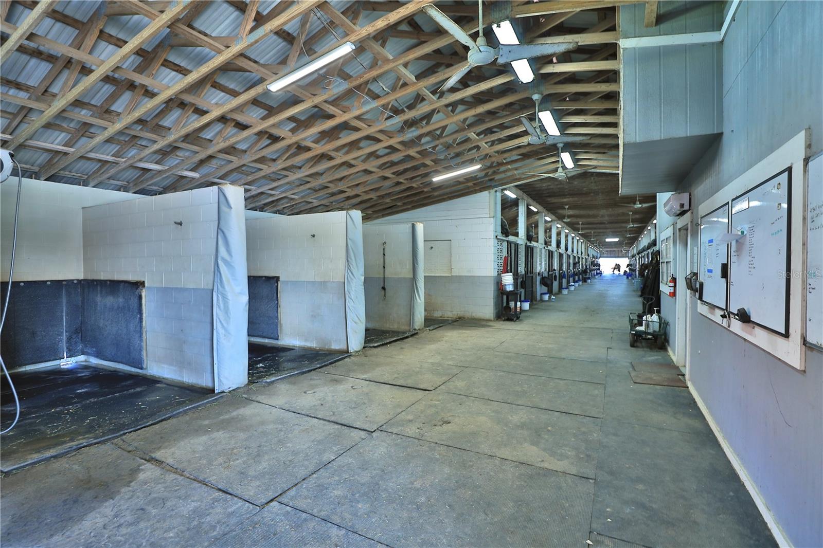 6692 NW 150TH AVE, MORRISTON, FL, 32668