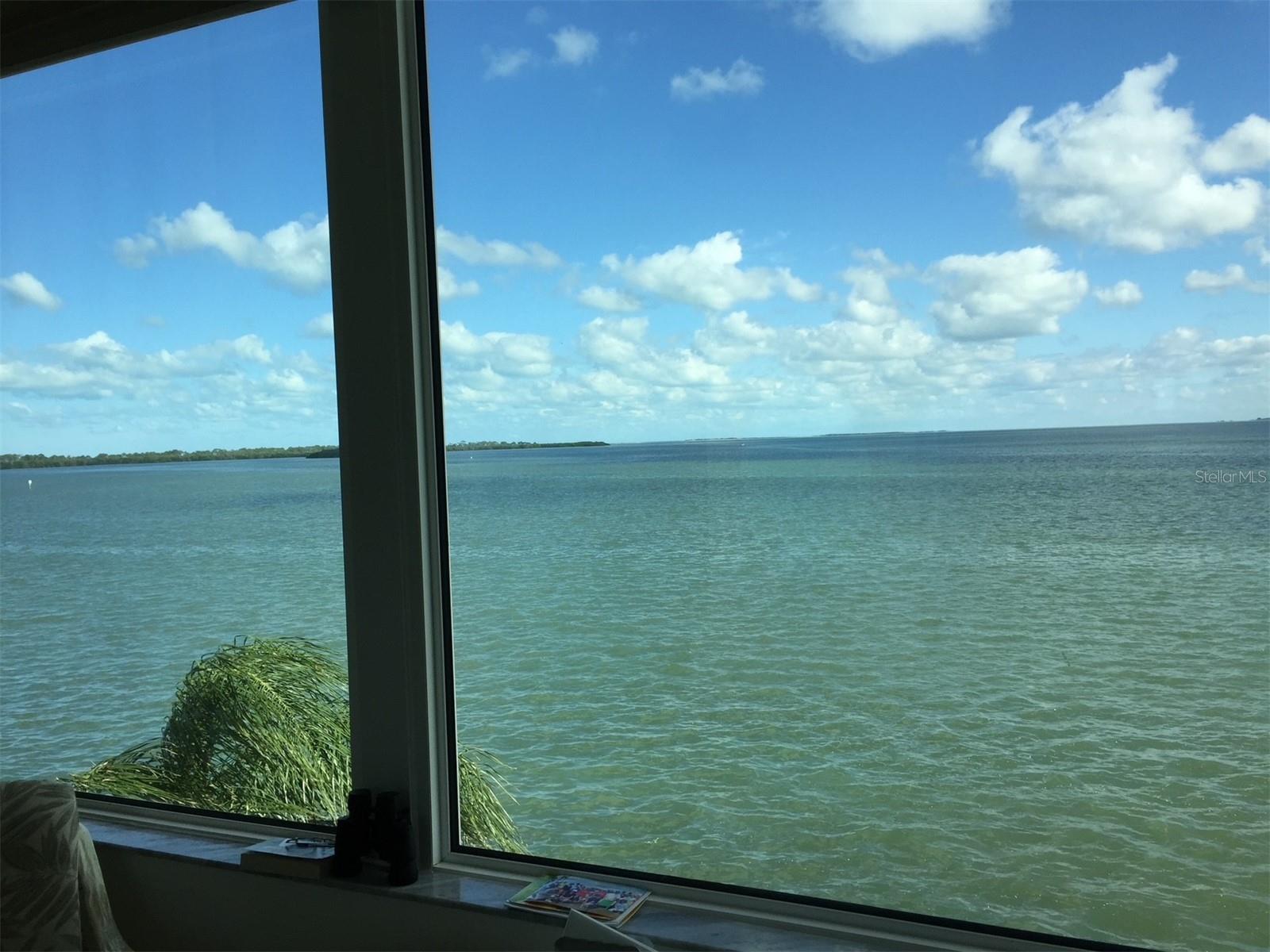 7 DUNOON PL #303, DUNEDIN, FL, 34698