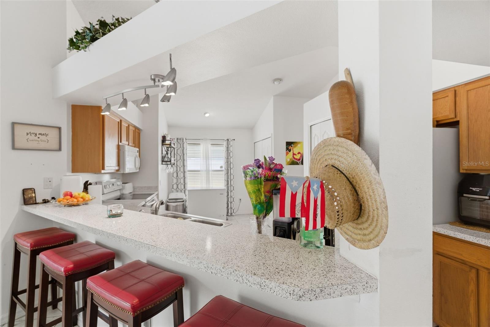 12818 LAKE VISTA DR, GIBSONTON, FL, 33534