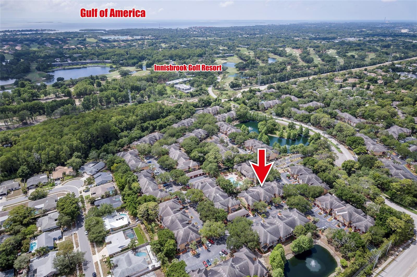 2277 CHIANTI PL #3-0039, PALM HARBOR, FL, 34683