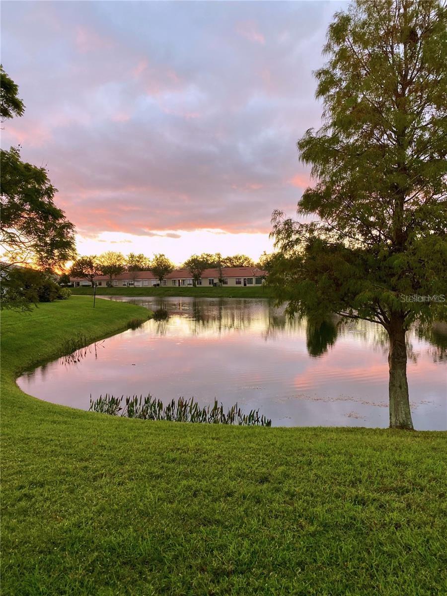 9009 41ST WAY N #5, PINELLAS PARK, FL, 33782