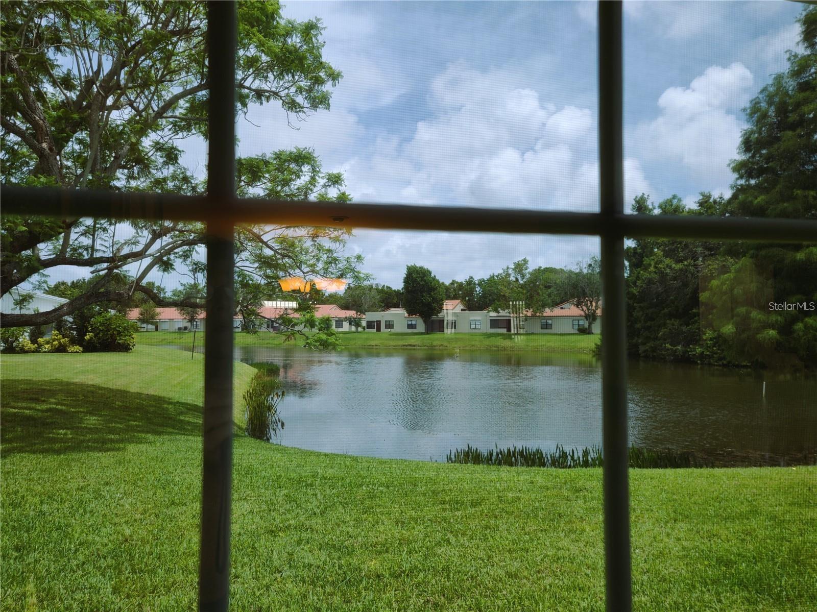 9009 41ST WAY N #5, PINELLAS PARK, FL, 33782