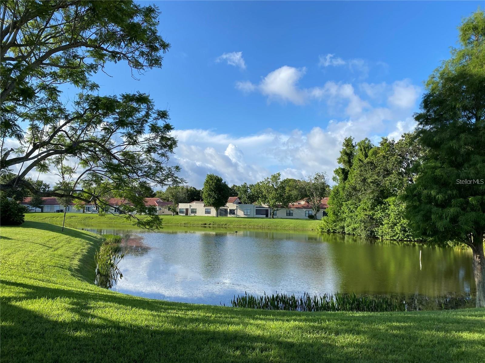 9009 41ST WAY N #5, PINELLAS PARK, FL, 33782