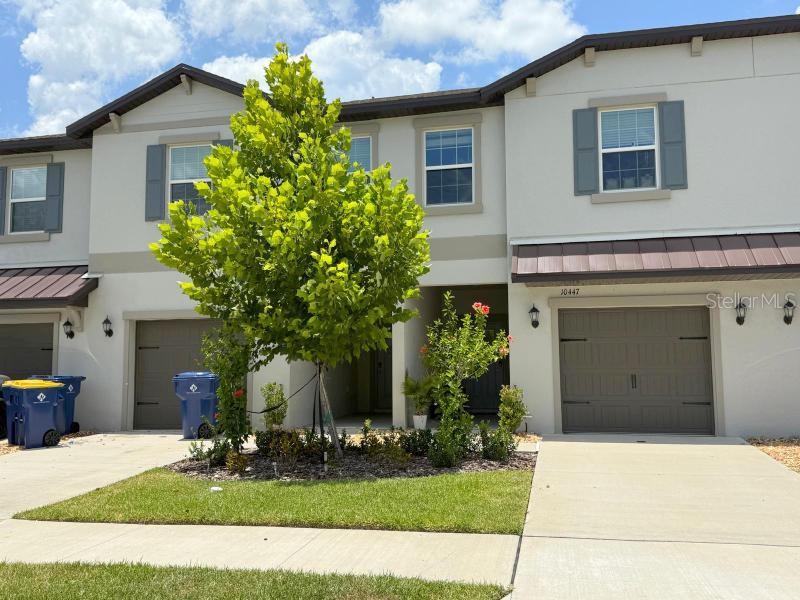10443 LAVENDER ASTER TRL, SAN ANTONIO, FL, 33576