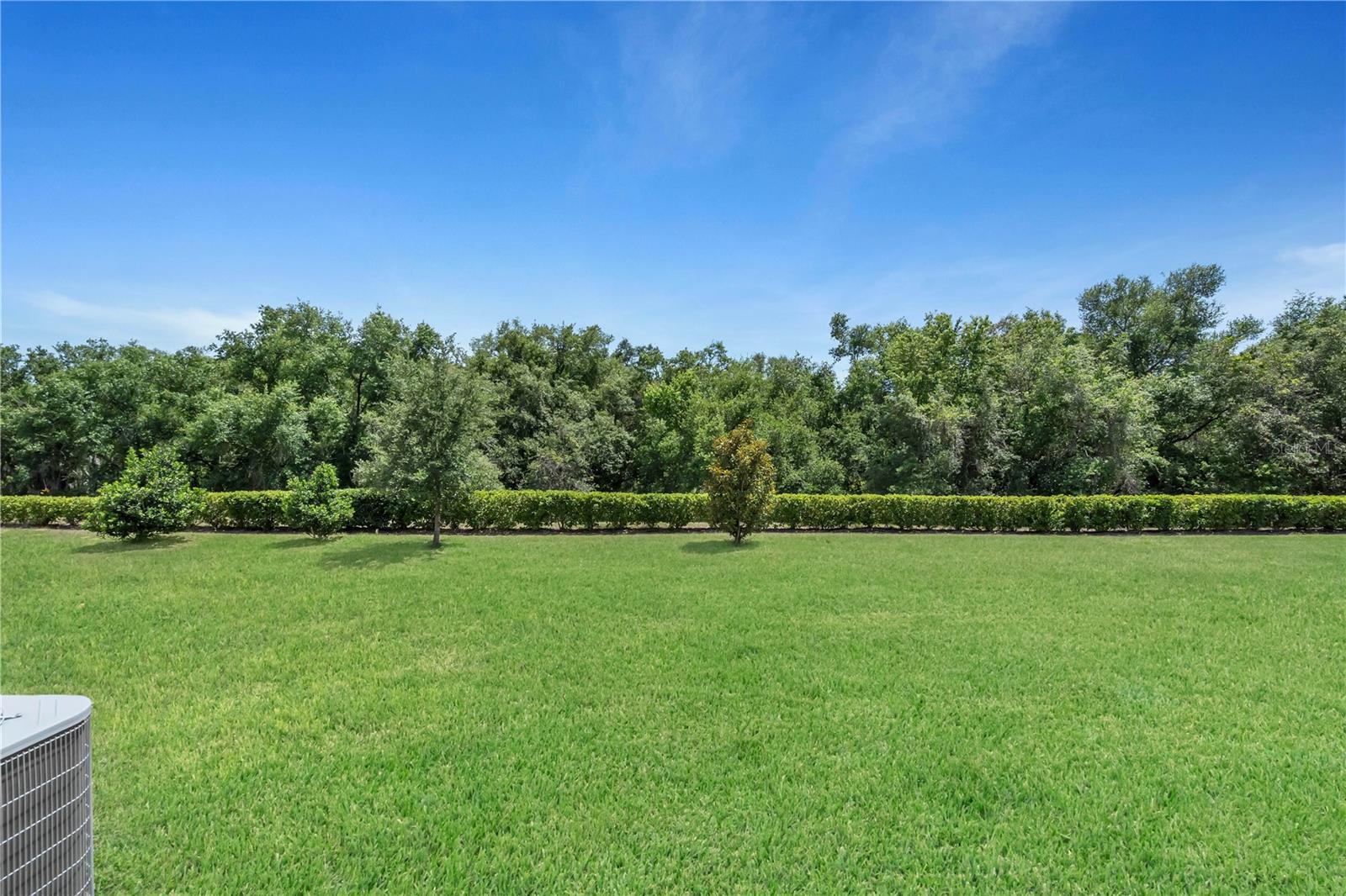 1809 HOLDEN RIDGE LN, CLERMONT, FL, 34715