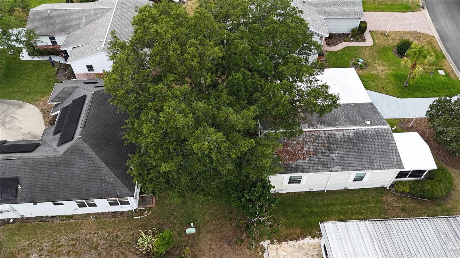 1222 ZAPATA PLACE, LADY LAKE, FL, 32159