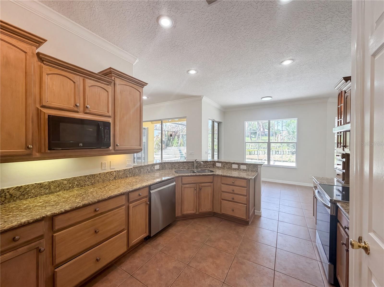 10408 LAGO LOUISA CT, CLERMONT, FL, 34711