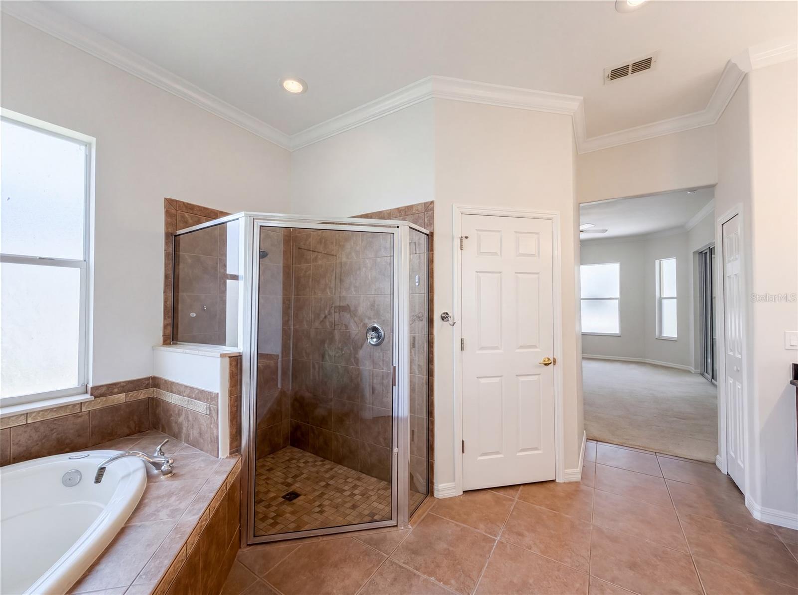 10408 LAGO LOUISA CT, CLERMONT, FL, 34711