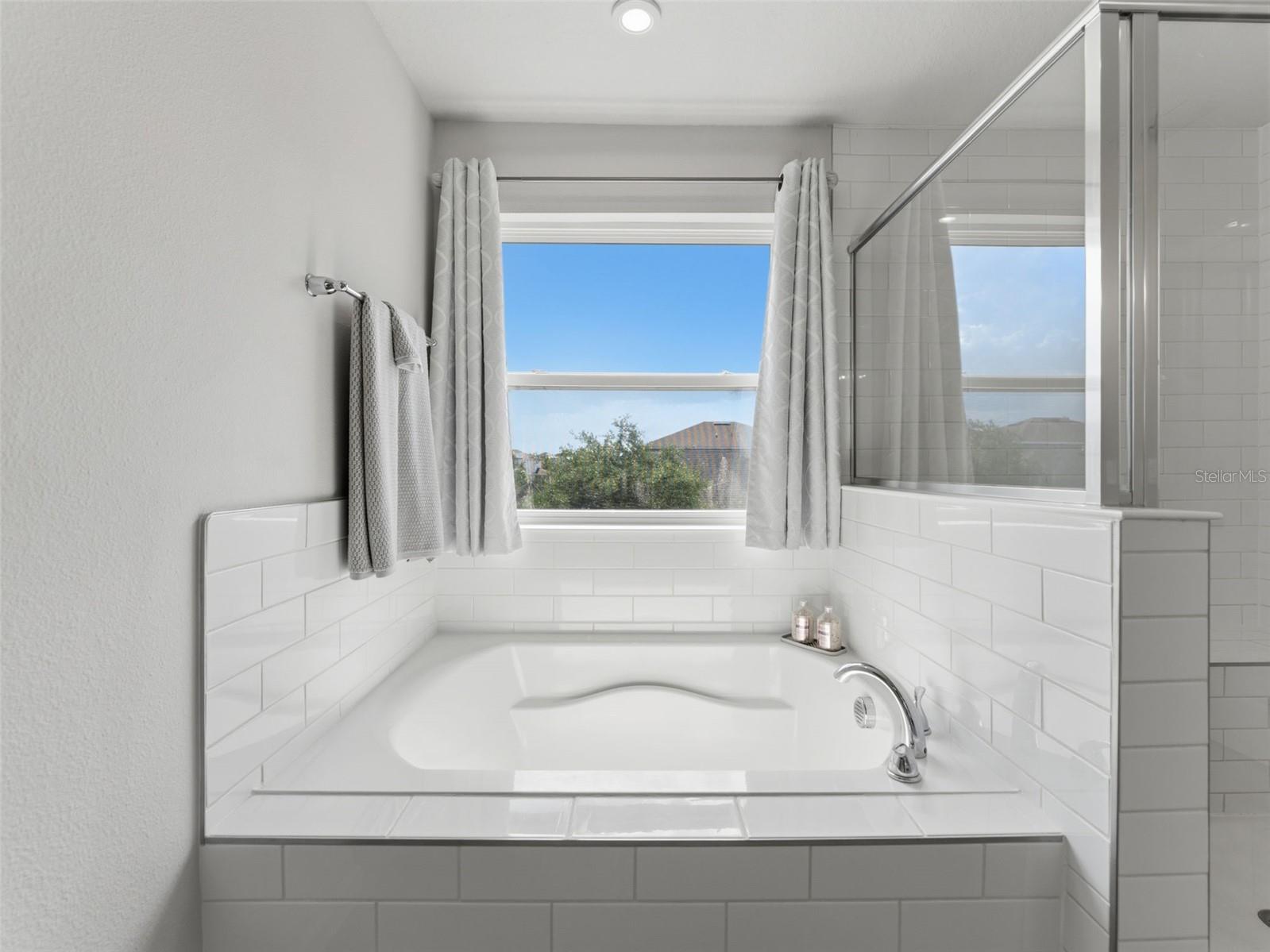 12259 BLUE PACIFIC DR, RIVERVIEW, FL, 33579