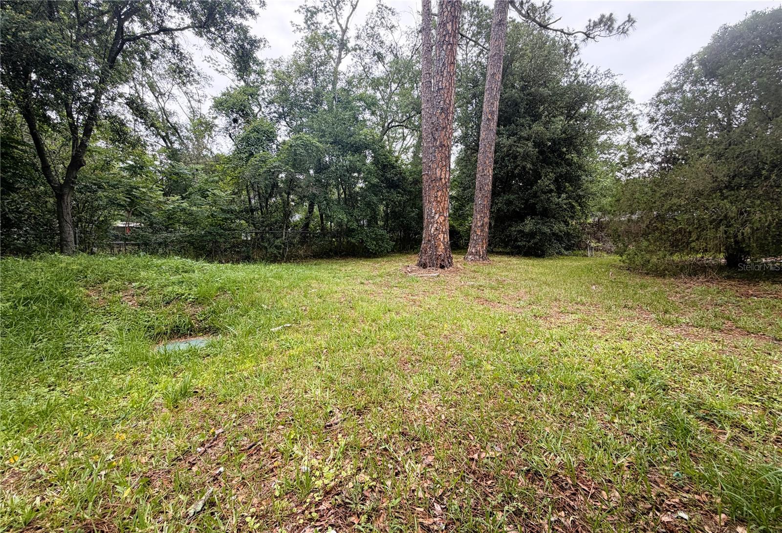 8139 VINING ST, JACKSONVILLE, FL, 32210