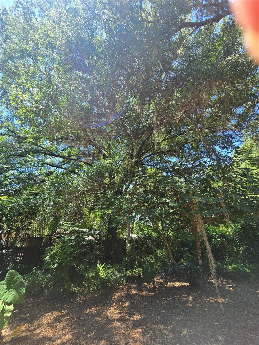 15176 NE 154TH LN, FORT MC COY, FL, 32134