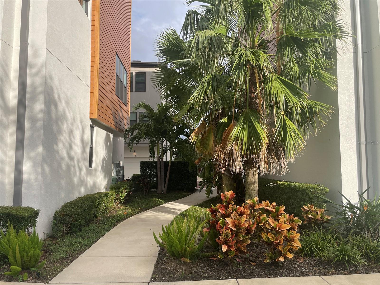 2511 N GRADY AVE #5, TAMPA, FL, 33607