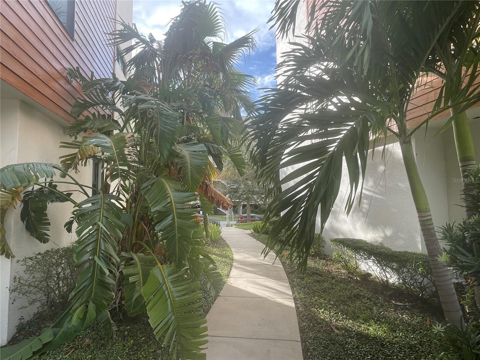 2511 N GRADY AVE #5, TAMPA, FL, 33607