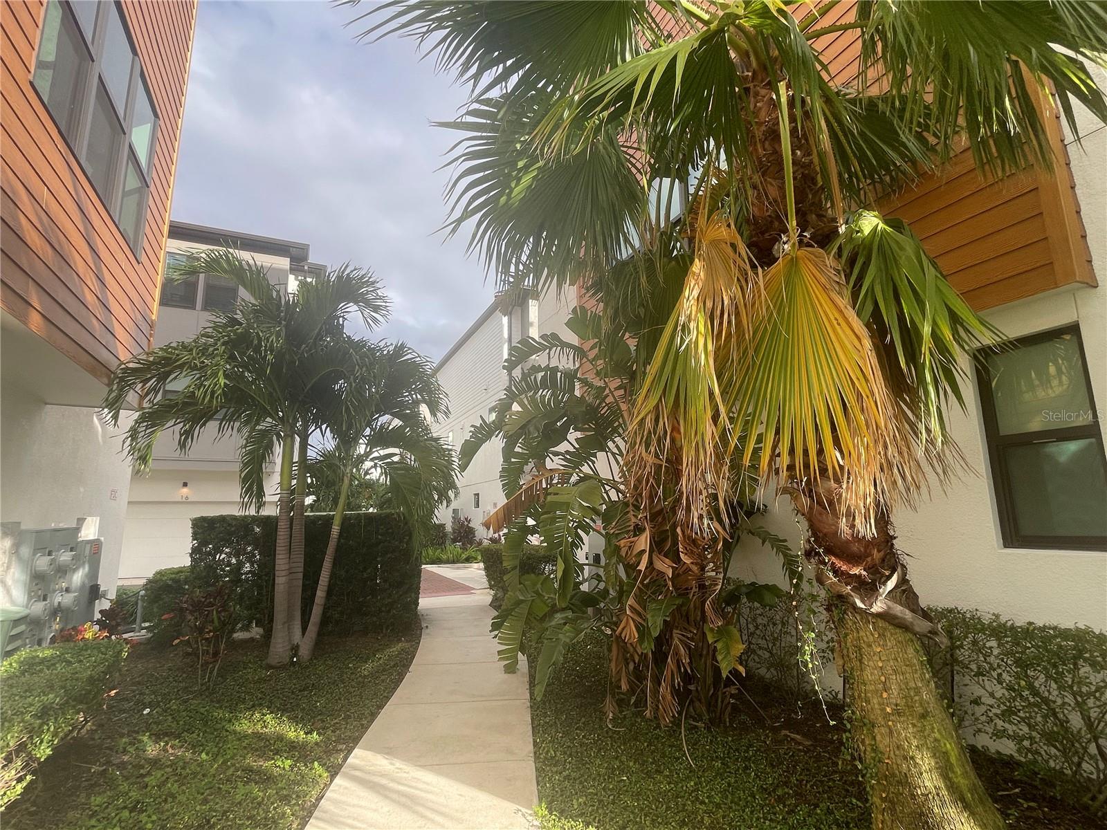 2511 N GRADY AVE #5, TAMPA, FL, 33607