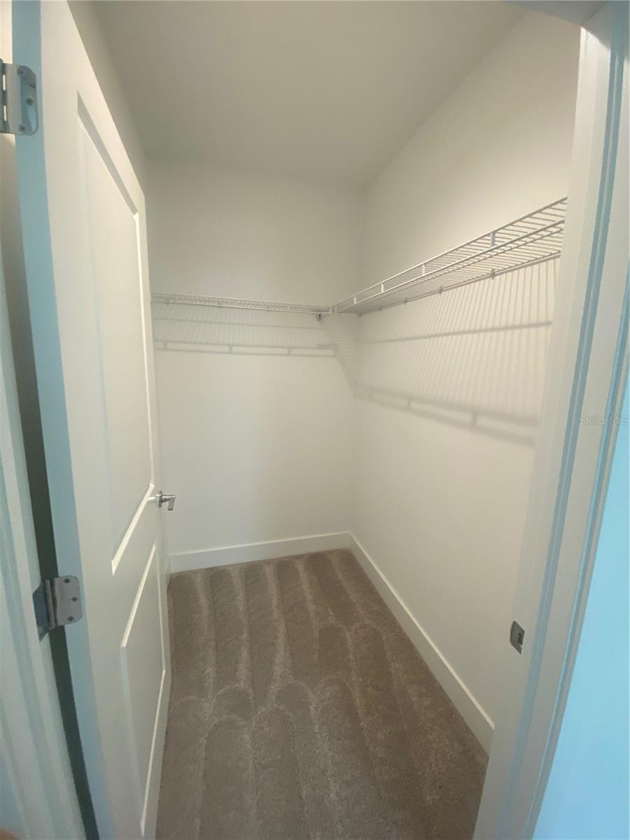 2511 N GRADY AVE #5, TAMPA, FL, 33607