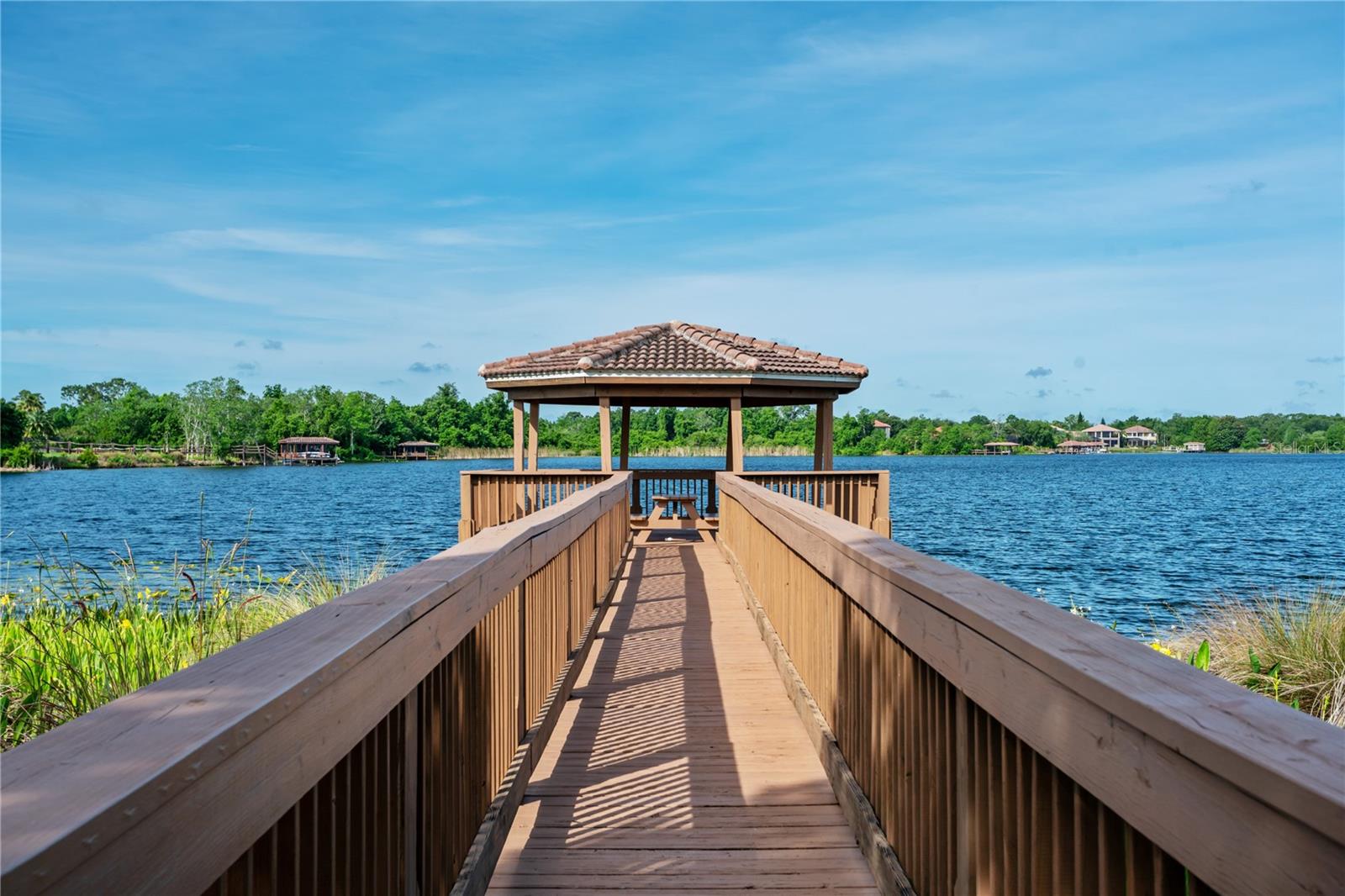 1317 GLENHEATHER DR, WINDERMERE, FL, 34786