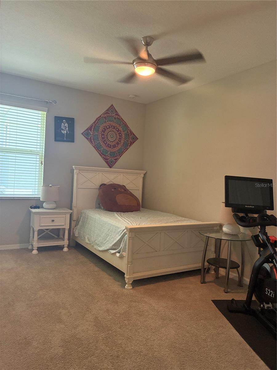 12200 RANGELAND BLVD, ODESSA, FL, 33556