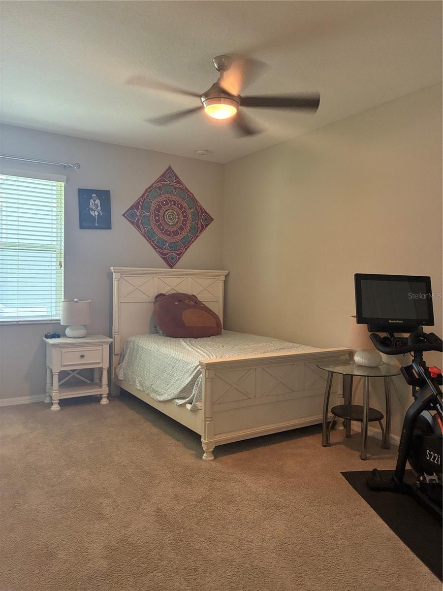 12200 RANGELAND BLVD, ODESSA, FL, 33556