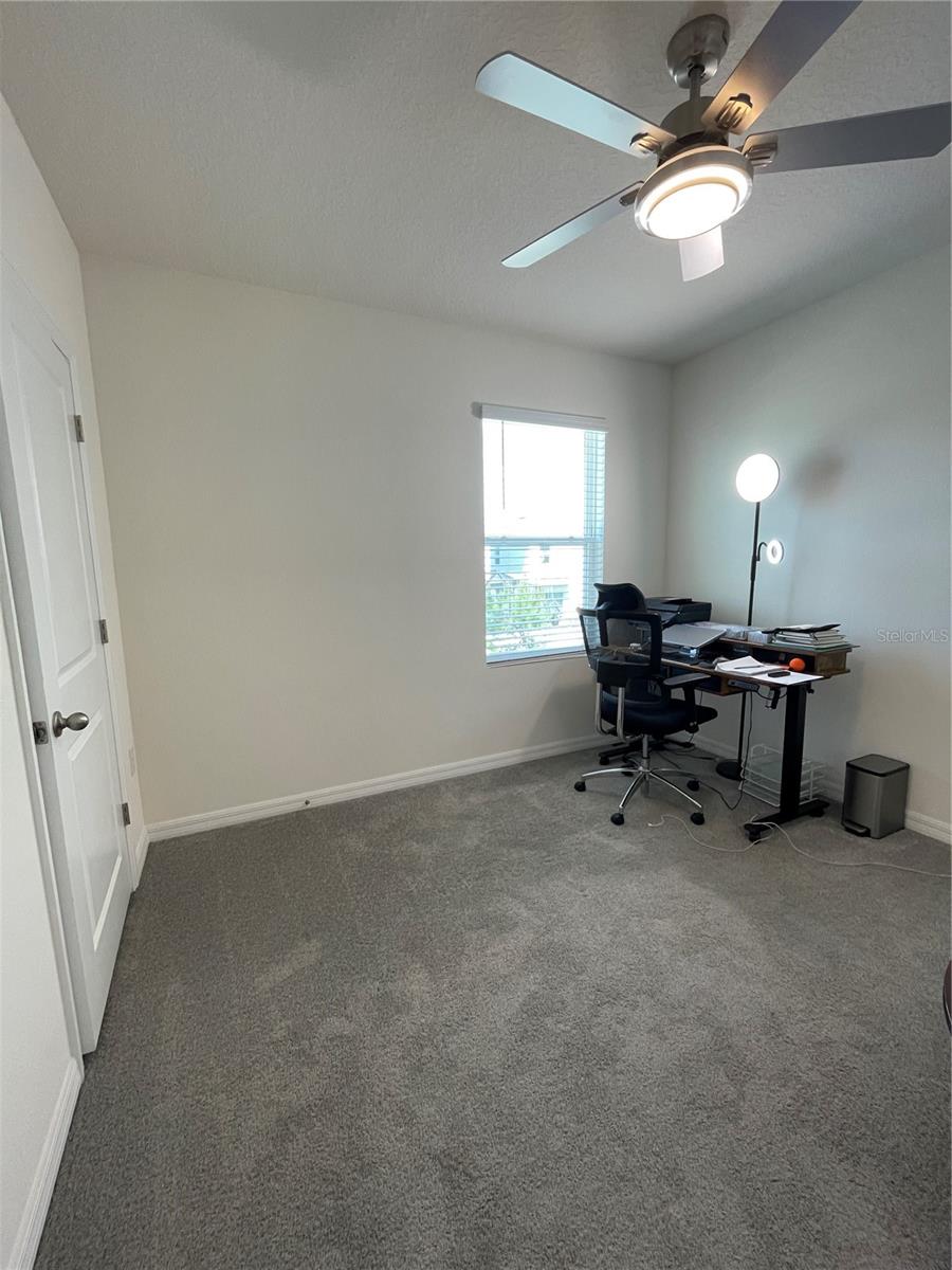 2927 COMMON FIG RUN, WESLEY CHAPEL, FL, 33543