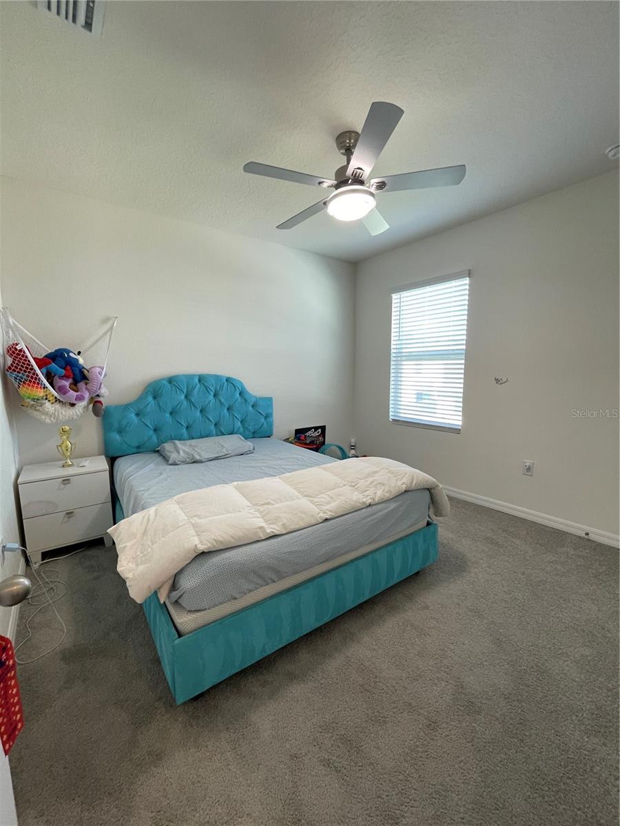 2927 COMMON FIG RUN, WESLEY CHAPEL, FL, 33543
