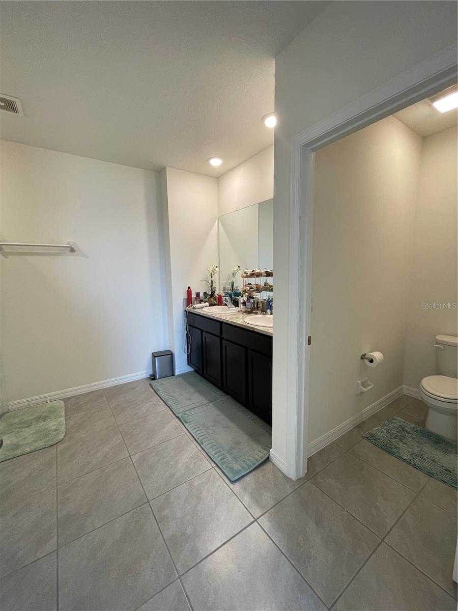 2927 COMMON FIG RUN, WESLEY CHAPEL, FL, 33543