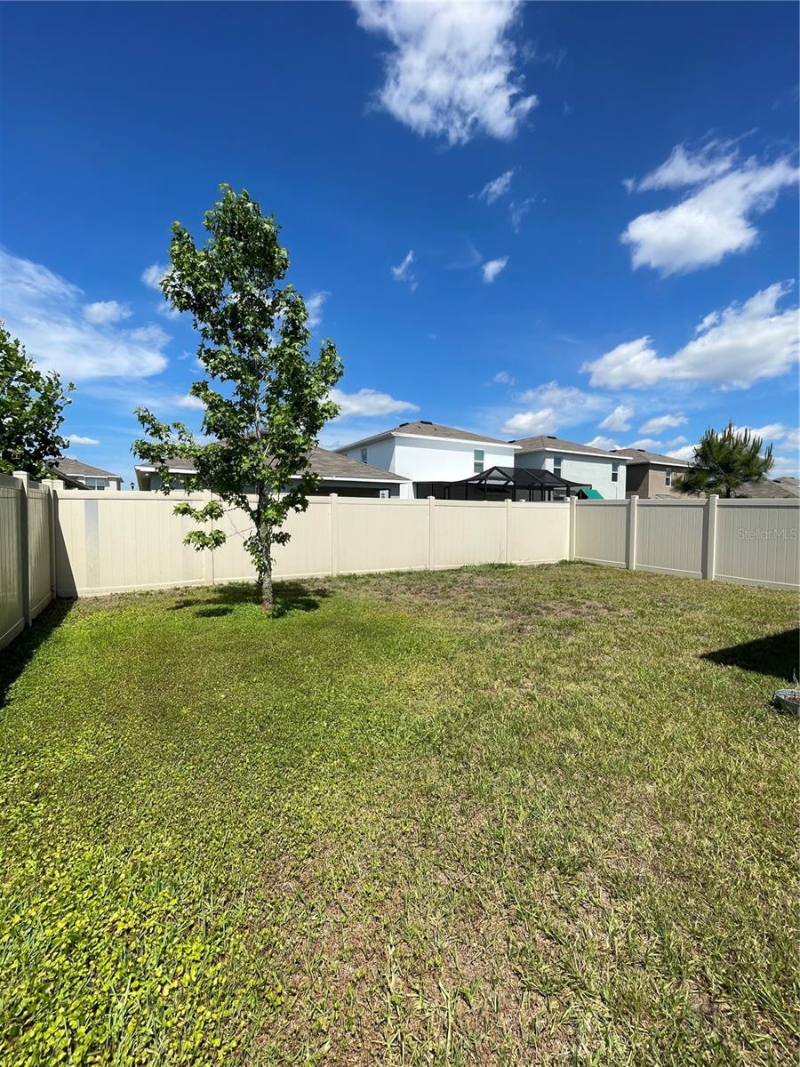 2927 COMMON FIG RUN, WESLEY CHAPEL, FL, 33543