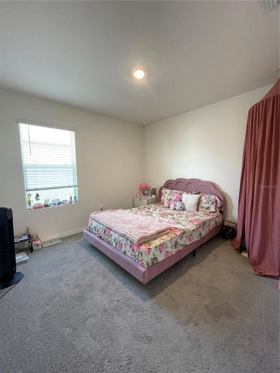 2927 COMMON FIG RUN, WESLEY CHAPEL, FL, 33543