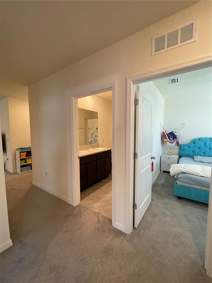 2927 COMMON FIG RUN, WESLEY CHAPEL, FL, 33543