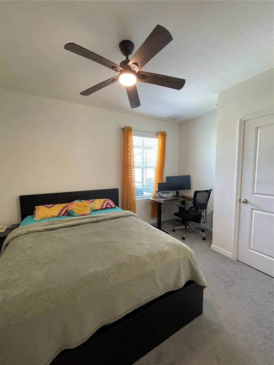 2927 COMMON FIG RUN, WESLEY CHAPEL, FL, 33543