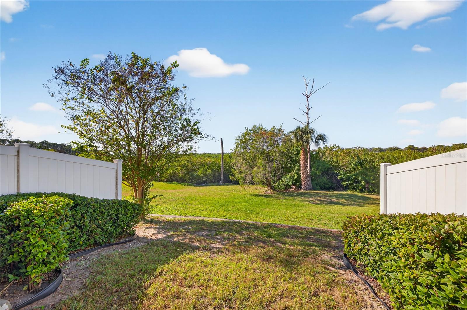 8128 MUDDY PINES PL, TAMPA, FL, 33635