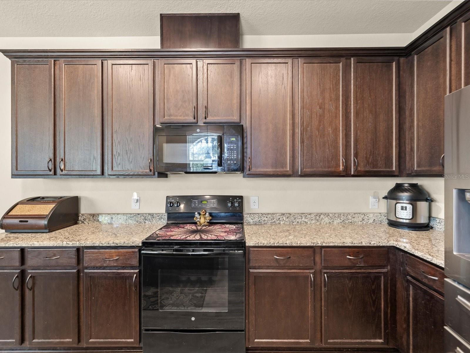 450 HARBOR SPRINGS DR, PALM HARBOR, FL, 34683