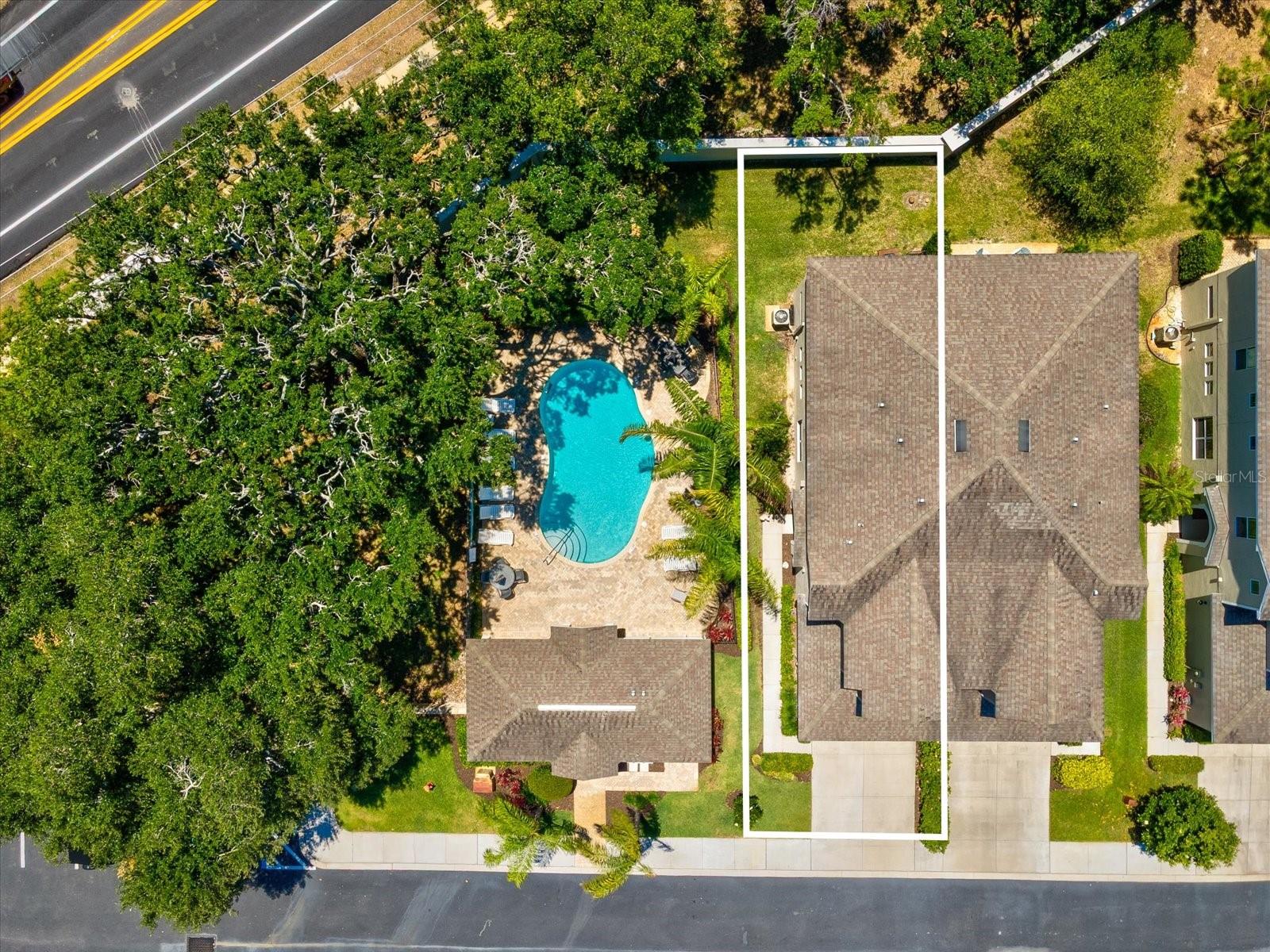 450 HARBOR SPRINGS DR, PALM HARBOR, FL, 34683