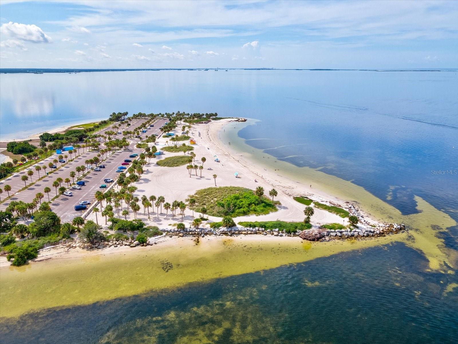 450 HARBOR SPRINGS DR, PALM HARBOR, FL, 34683