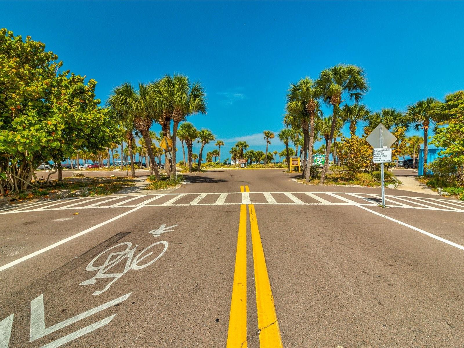 450 HARBOR SPRINGS DR, PALM HARBOR, FL, 34683