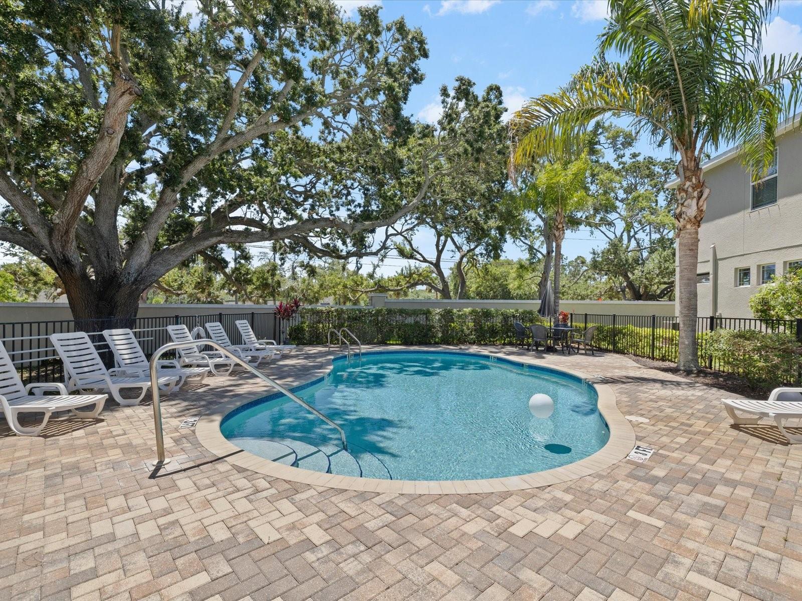 450 HARBOR SPRINGS DR, PALM HARBOR, FL, 34683