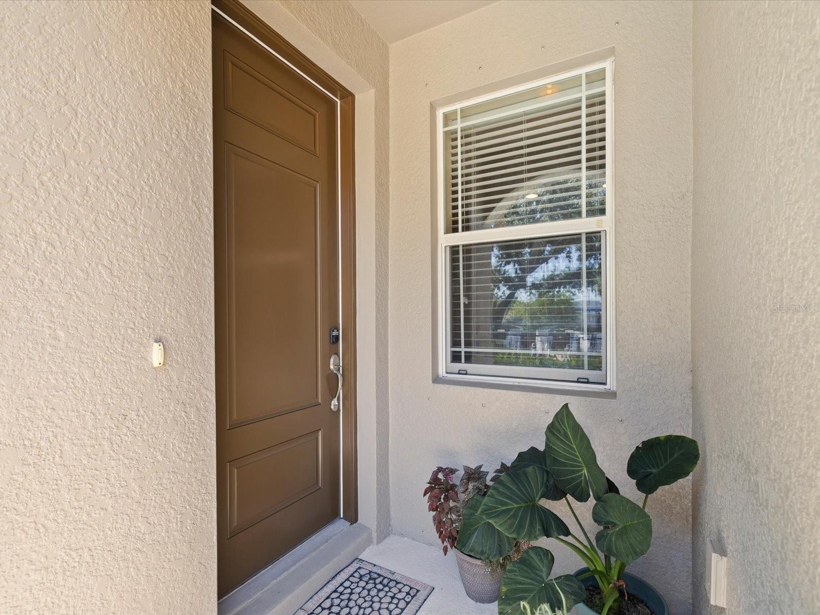 450 HARBOR SPRINGS DR, PALM HARBOR, FL, 34683