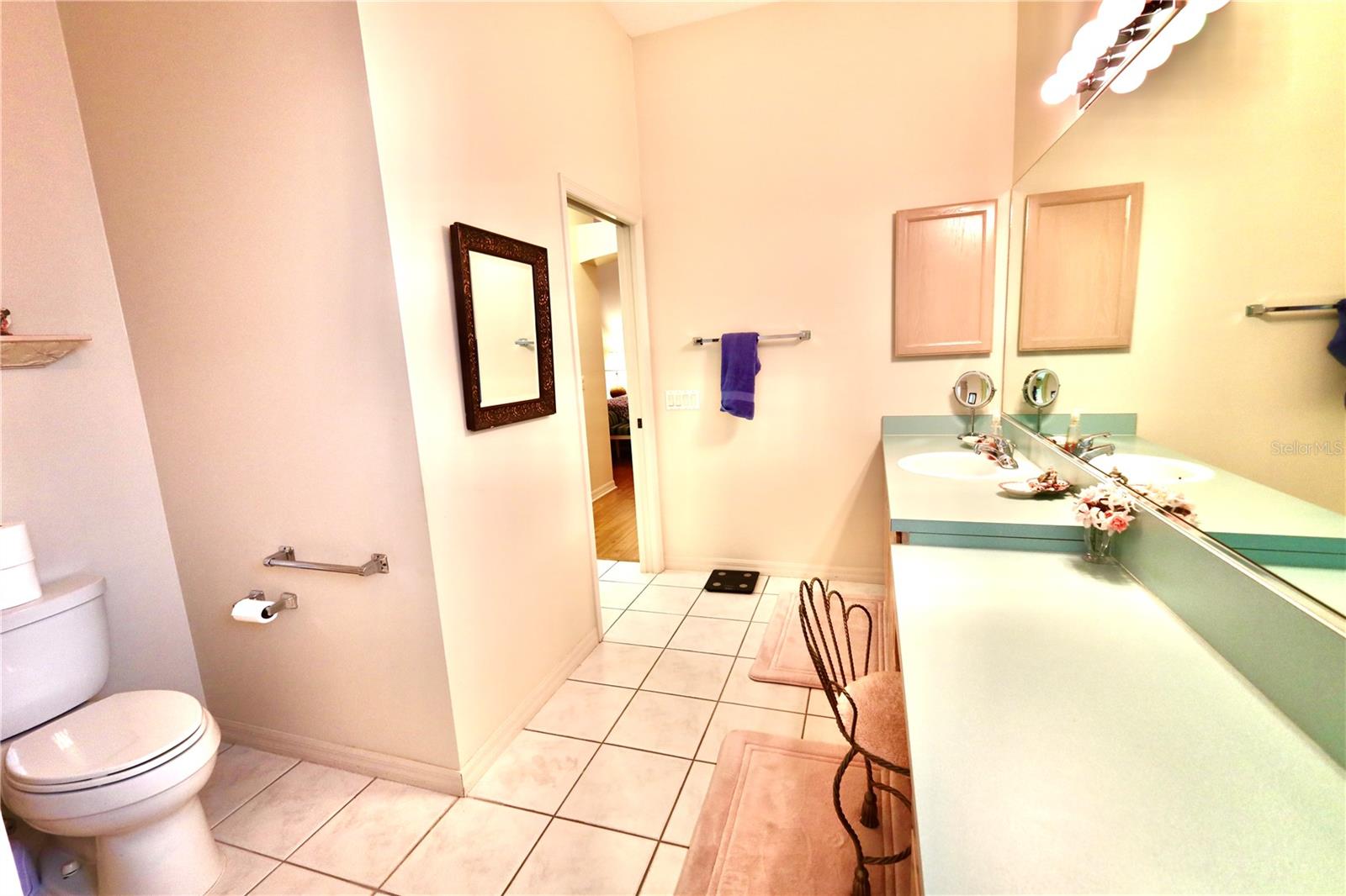 532 CARRERA DR, LADY LAKE, FL, 32159